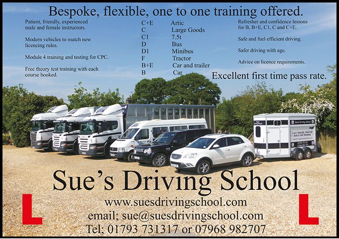 Sues Driving School